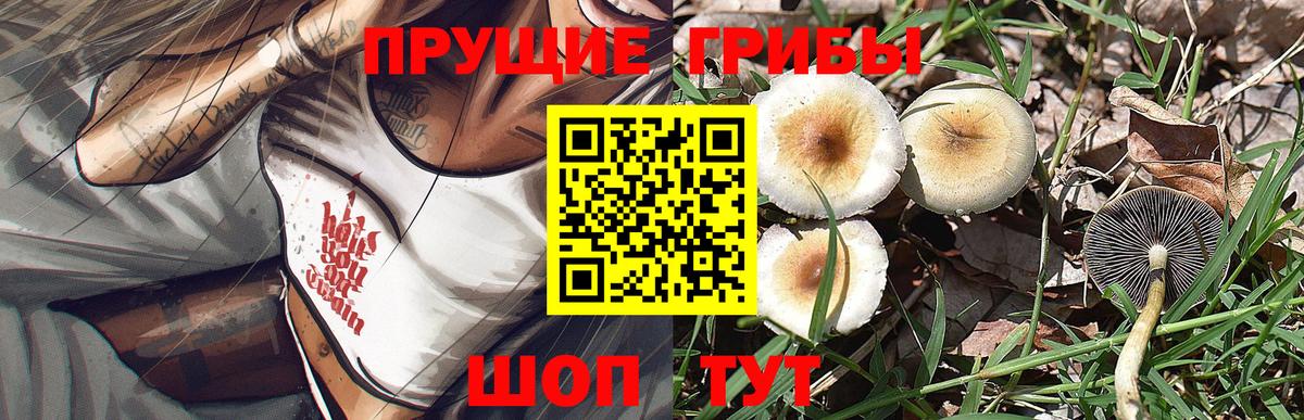 Галлюциногенные грибы MAGIC MUSHROOMS  Вход с VPN  Усинск 