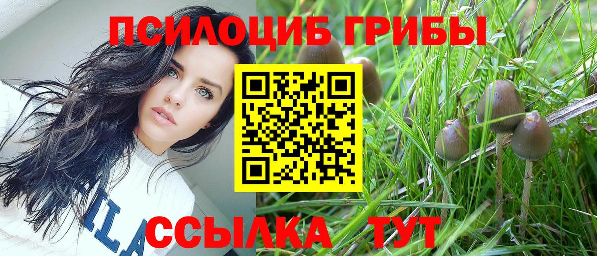 Псилоцибиновые грибы прущие грибы Усинск